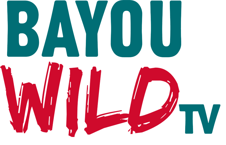 Logo-Bayou Wild TV